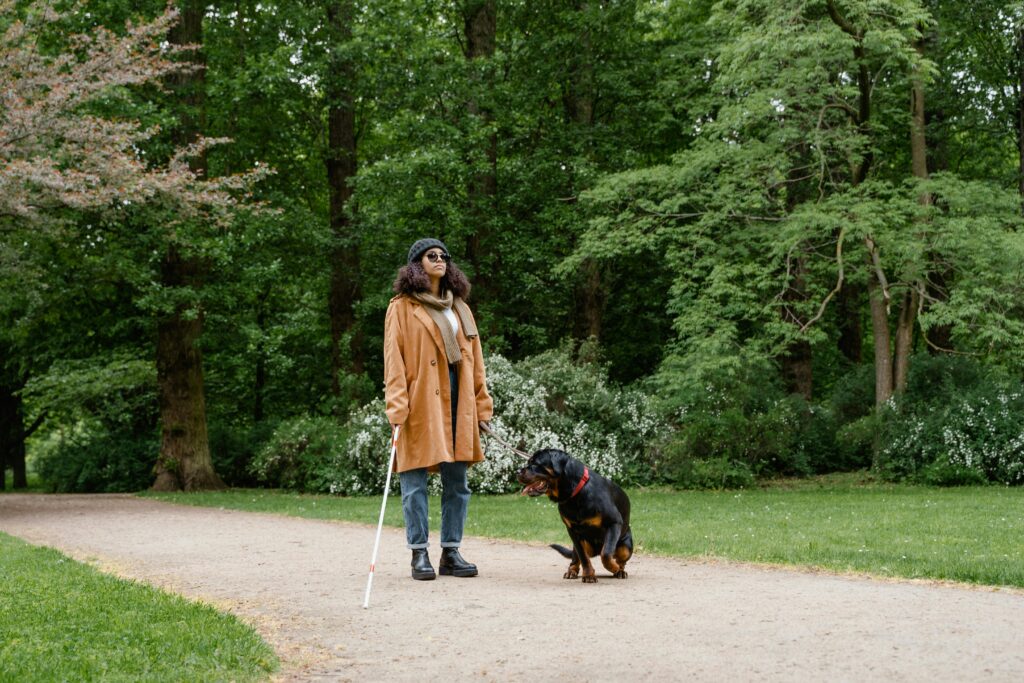 pexels-photo-8327629-8327629 Woman with guide dog and walking stick enjoying a stroll in a lush green park.